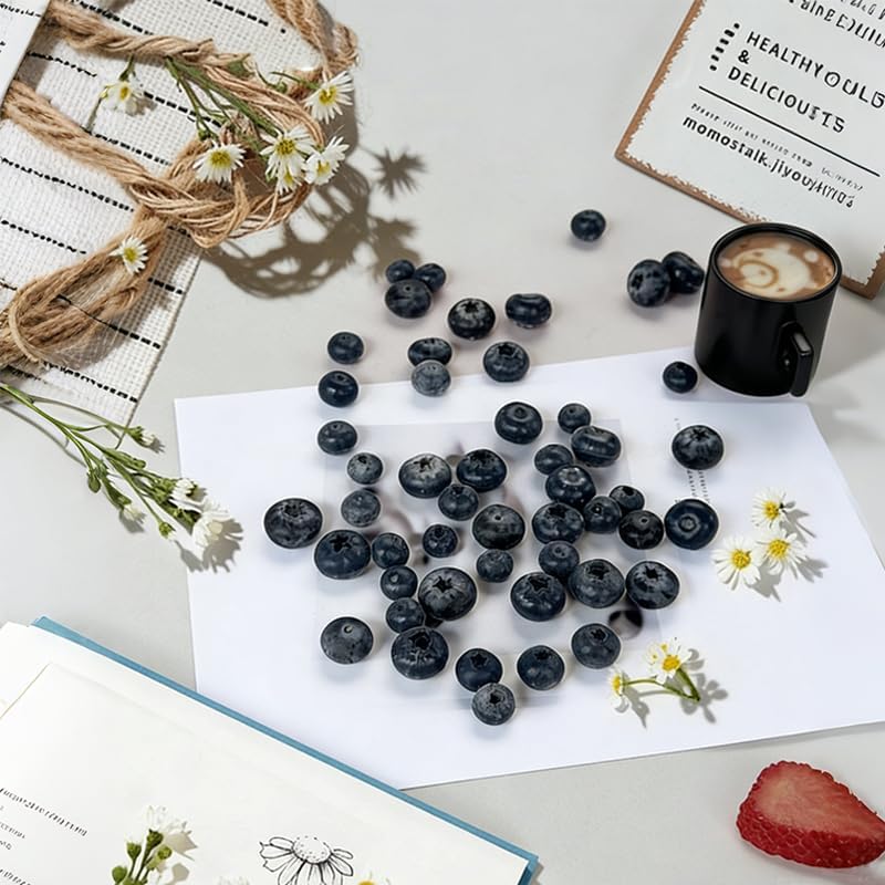 توت أزرق اصطناعي، فاكهة وهمية  - مراجعة Photography Food وسعره