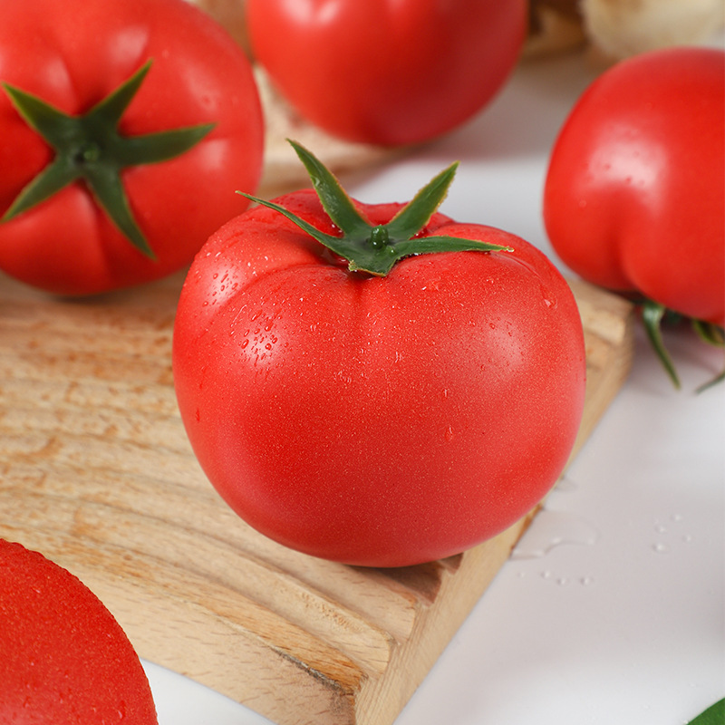 نماذج طماطم حمراء اصطناعية واق - مراجعة Photography Food وسعره